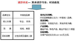 中國浪莎紅 浪莎內(nèi)裝戰(zhàn)略營銷策劃與企業(yè)形象策劃方案